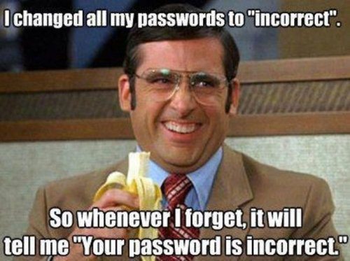 password-bijak